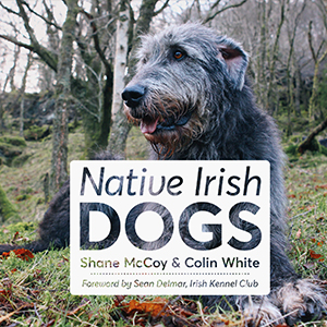 NativeIrishDogs